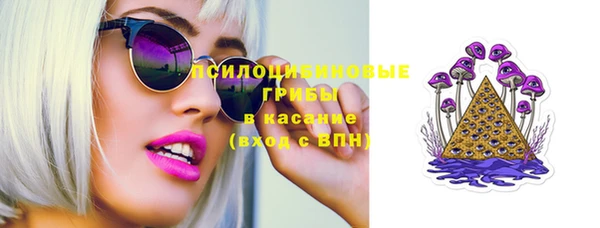МДПВ Осташков
