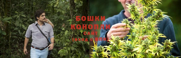 МДПВ Осташков
